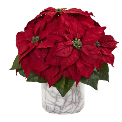 Arrangement floral poinsettia dans un vase
