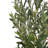 6' Artificial Olive Tree With Pot