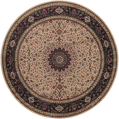 Shelburne Oriental Indoor Rug