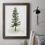 Watercolor Pine II - reproduction de cadre photo sur toile-558010221