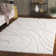 Reidy Performance Abstract Rug