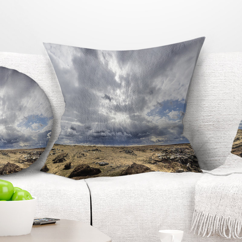 Coussin Schafer, 16 po x 1 po, Coussin décoratif