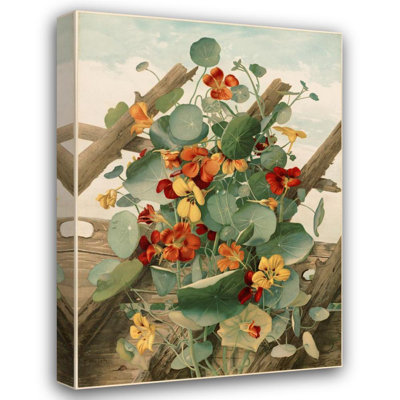 "The Nasturtiums, No. 2" by  Thaddeus Welch - Gallery Wrap Canvas Wall Art