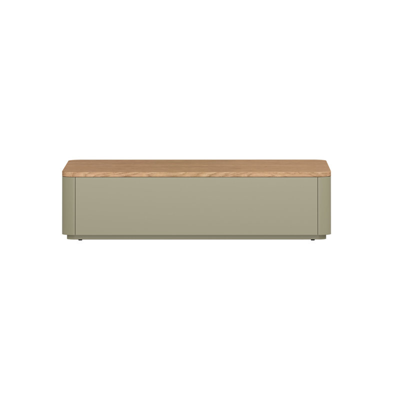 Blackett Coffee Table with Storage, Green