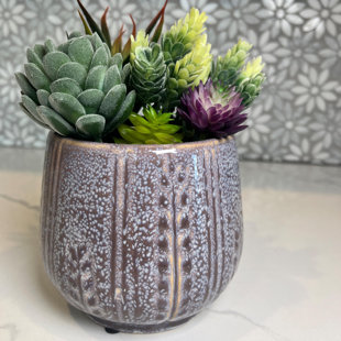 Jardinière en céramique 4,5 po, pot de fleurs en céramique, plante décorative, lavande