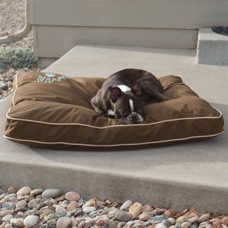 Coussin intérieur / extérieur pour chien Just Relaxin 'Classic, Chocolat, Petit (l 26 po x P 18 po)