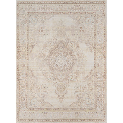 Dorrance Oriental Indoor Rug