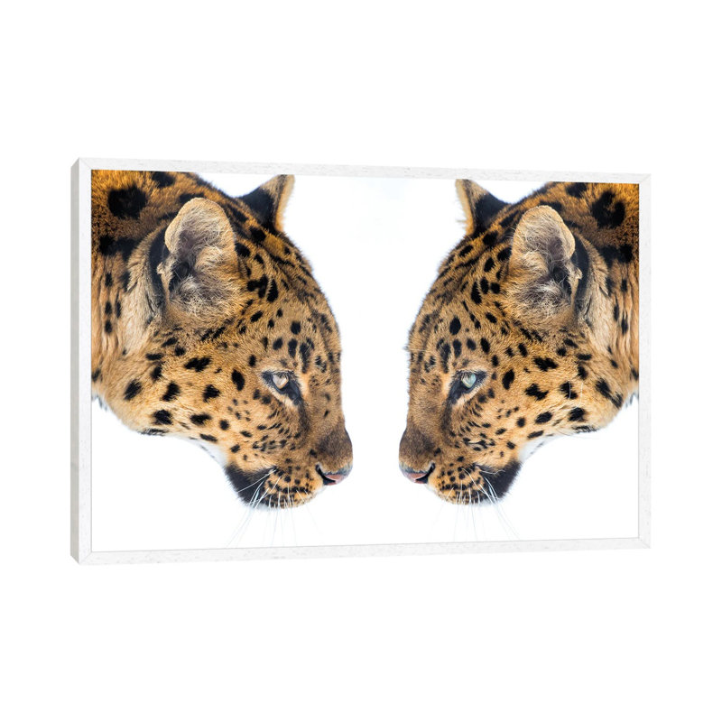 Mirrored by David Gardiner - Print on Canvas, 66.04 cm H x 45.72 cm W, White Framed