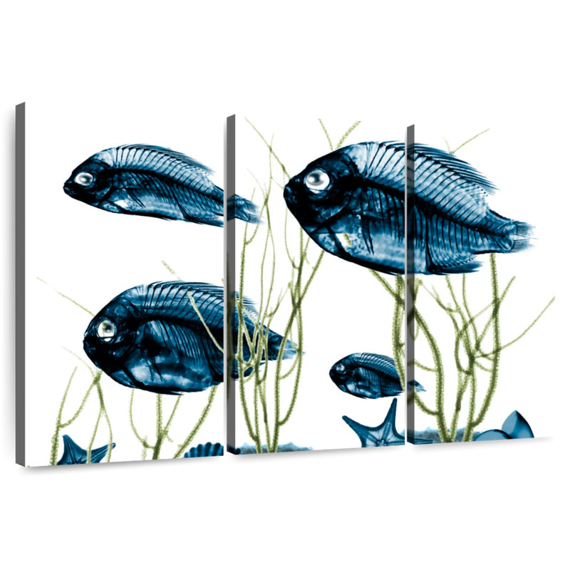 Brampt Aquatic Home II, 36" H x 57" W