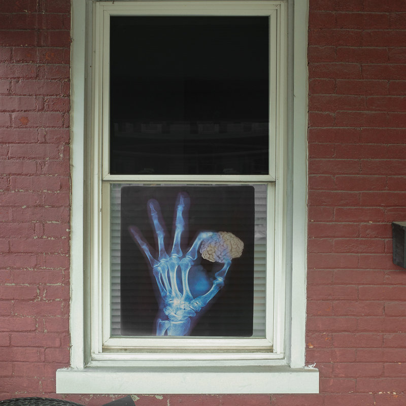 Funny Medical Xray Images Set of 4 Halloween Window Decor Human Skeleton Decal Funny Medical Xray Images Set of 4 Halloween Window Decor Human Skeleton Decal