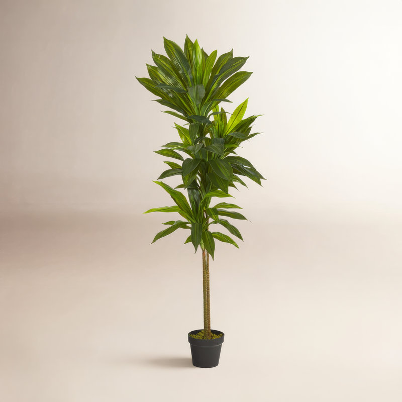 Plante artificielle en pot, H 56 po x l 16 po x P 16 po