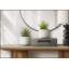 Ensemble de 2 plantes succulentes artificielles, 23 cm de hauteur, pots en ciment blanc, décoration moderne et contemporaine
