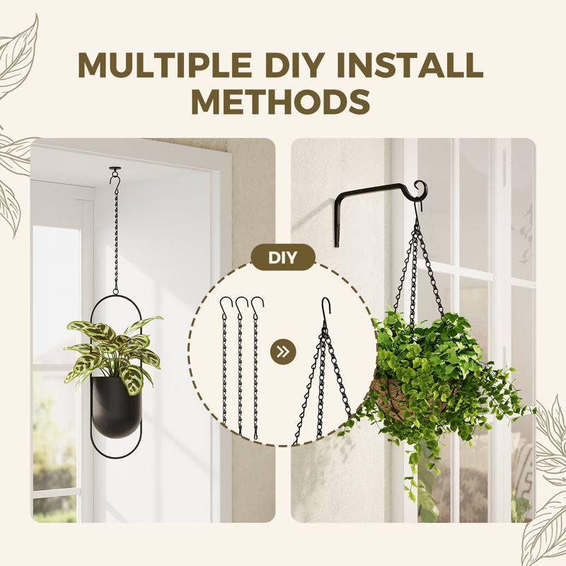 money plant variegated Money Plant Variegated — Plan A Plant main image 0