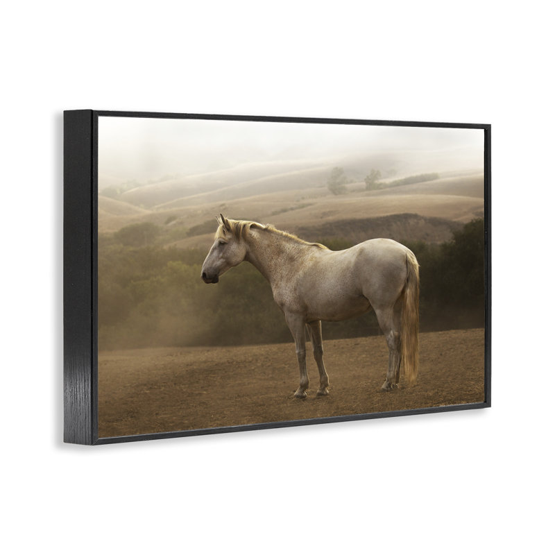 «Morning Mist Horse», estampe numérique par Jadei, H 12 po x l 18 po, Giclée encadrée noir minuit