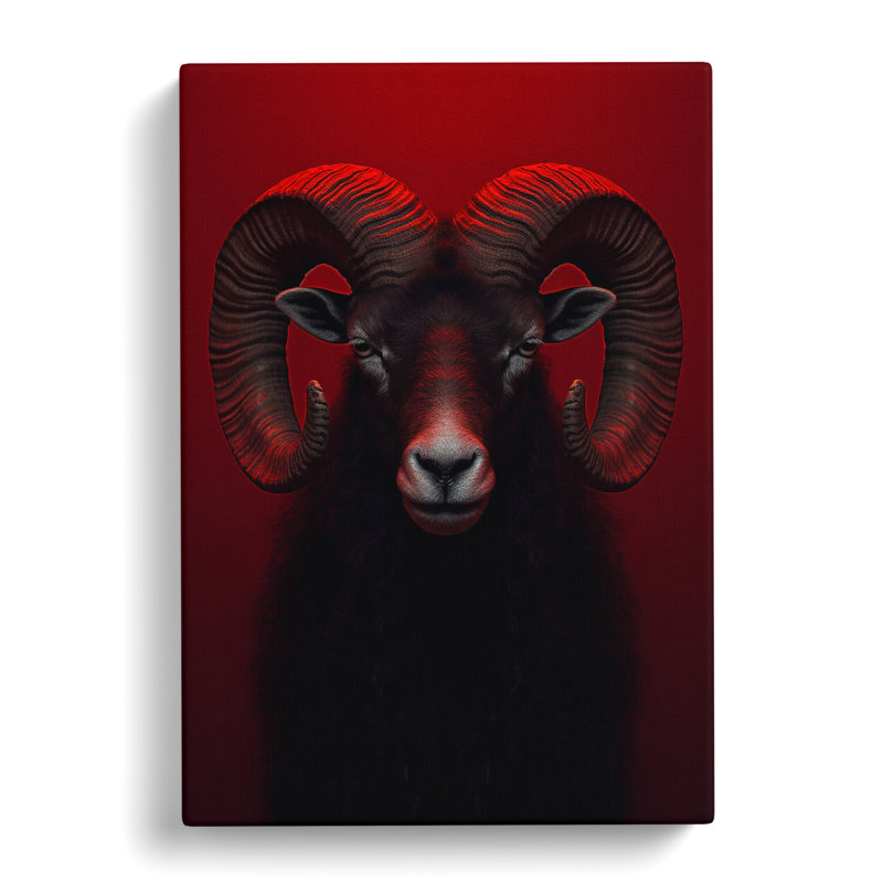 Ram Sheep Minimalism - Wrapped Canvas, 50cm H x 35cm W x 3cm D