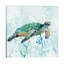 Sea Turtle Swim I by Carol Robinson - No Frame Print on Canvas-50004892-56677061