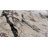 Lylis Performance Abstract Indoor Rug