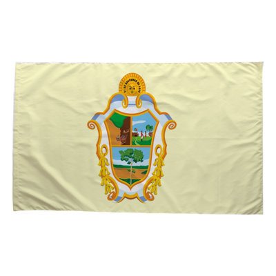 Manaus City Flag — Outdoor Flag