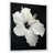 Cadre flottant blanc