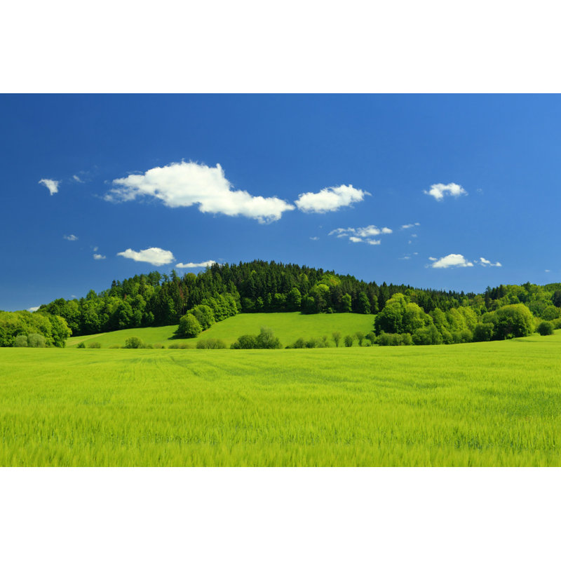 Paysage d'été par Kellyisp - impression, L 30 po x H 20 po
