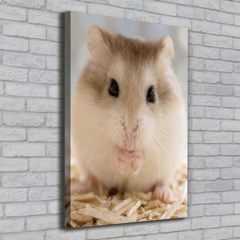 Hamster - Wrapped Canvas Print