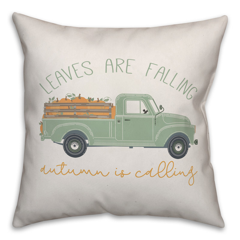 Throw Pillow