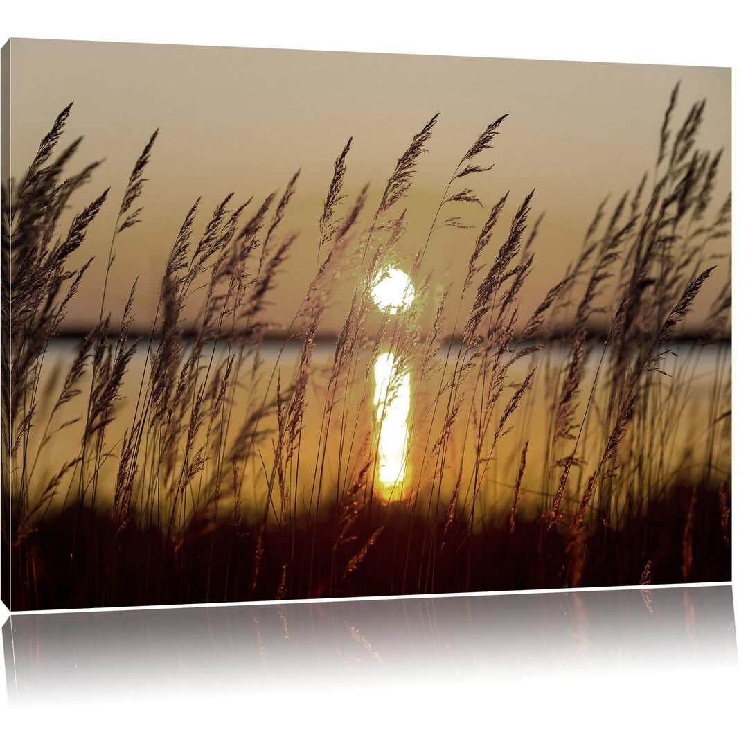 Leinwandbild Grass at Sunset in Gelb/Grau