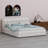 Upholstered Platform Bed With Modern Silhouette-1552166828