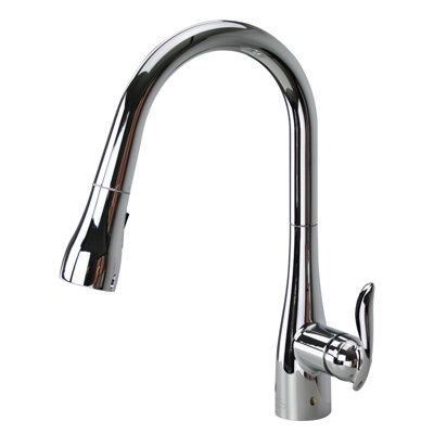 Transolid Arcata Pull Out Kitchen Faucet