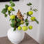 Branche de pomme verte artificielle avec feuilles-349688459