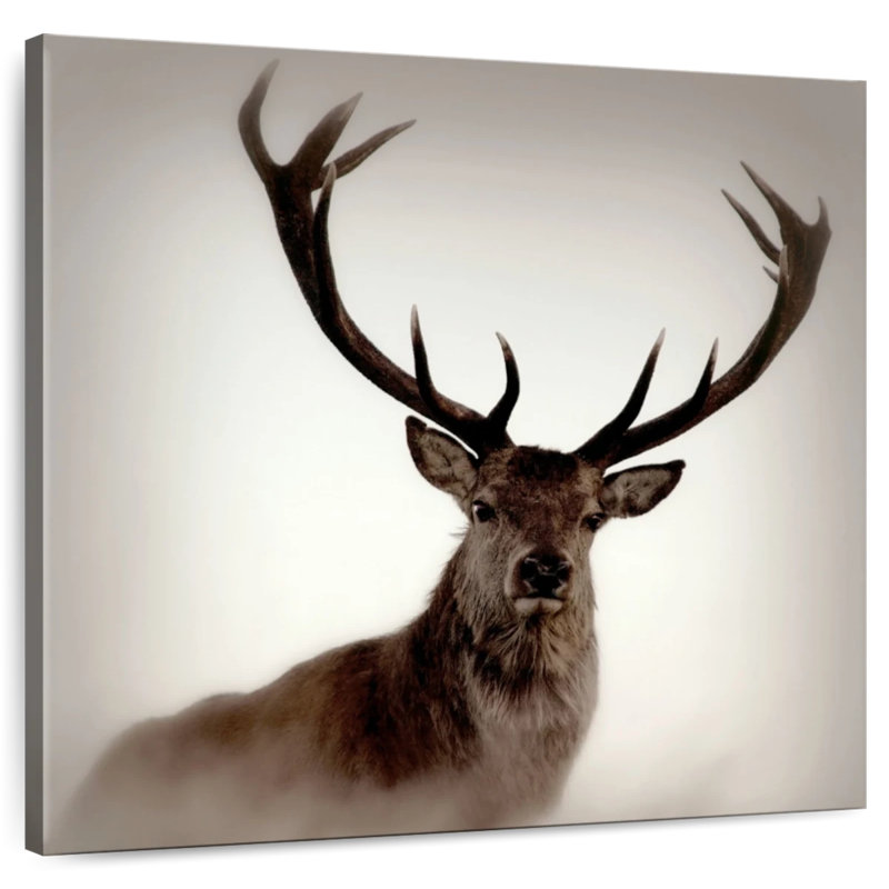 Crowle Red Deer Stag, 16" H x 16" W