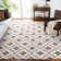 Rodrigez Hand Hooked Performance Geometric Rug