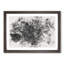 Spiders Cobweb - Picture Frame Graphic Art Print-56877297-56877300