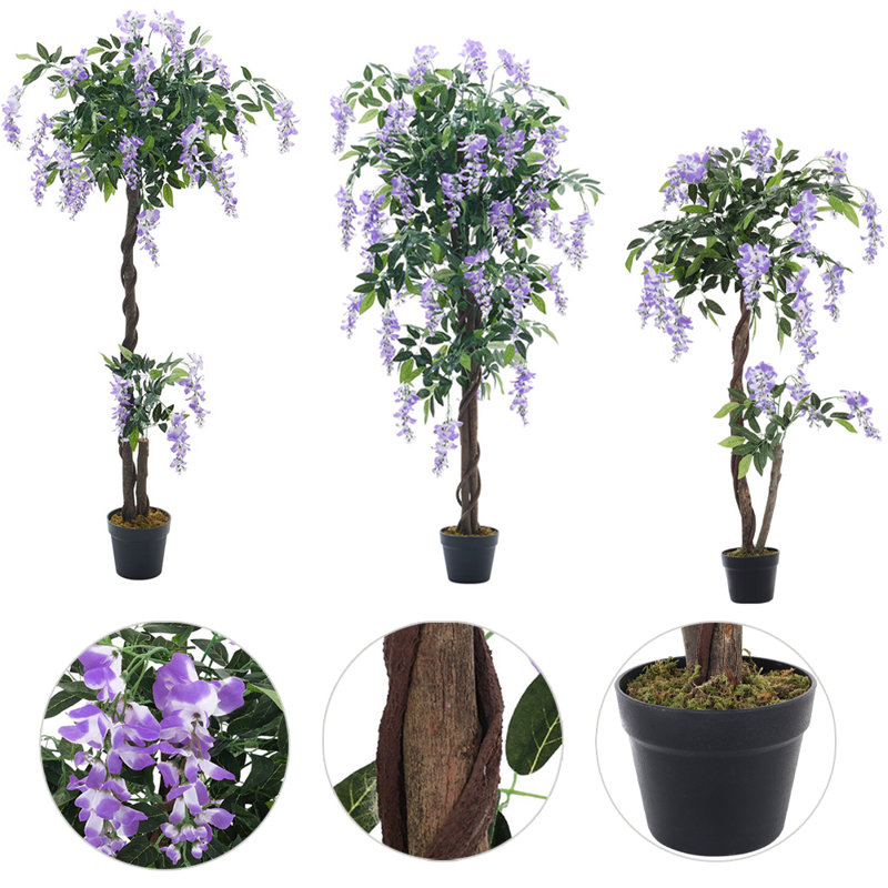 135cm Plant