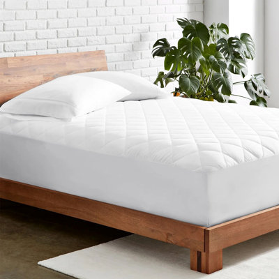 Fitted Mattress Protector Case Pack