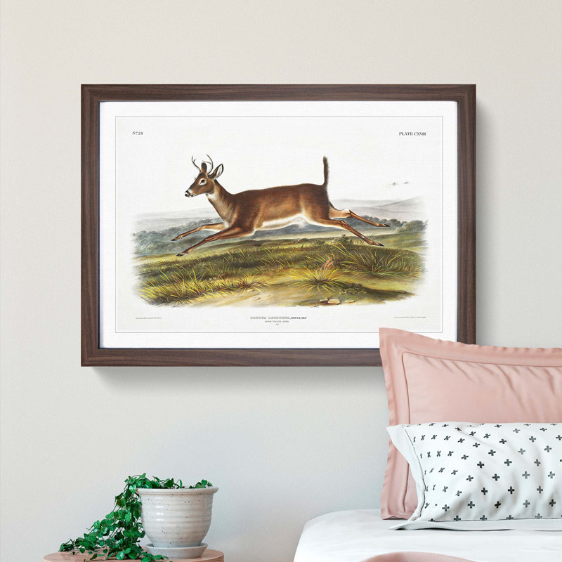 Long-Tailed Deer by J.W. Audubon - Picture Frame Painting Print, 60cm H x 91cm W x 2cm D, Walnut