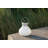 Nereus 5.5'' Solar Powered Integrated LED-1577585916