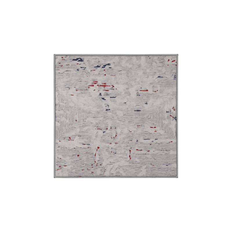 Machine Washable Gray Area Rug, Square 5'