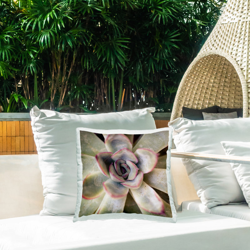 Coussin décoratif d'extérieur à motif de pétales succulents par Susan Bryant