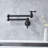 Dilon Kitchen Faucet-65223065