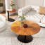 Altamae Pedestal Coffee Table