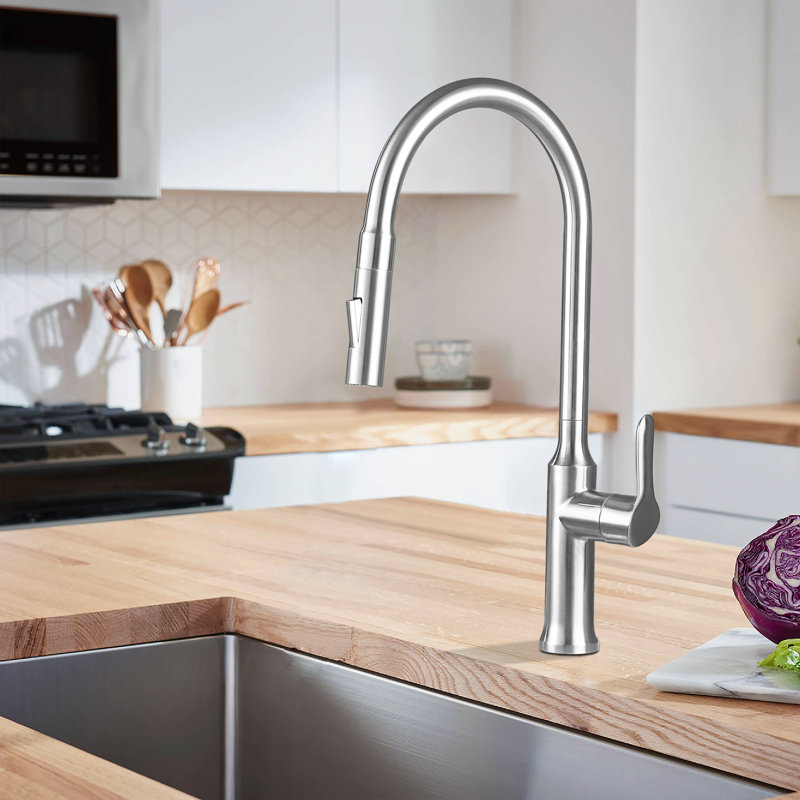 Pull Out Single Handle Kitchen Faucet with Double Function Sprayer Head, None