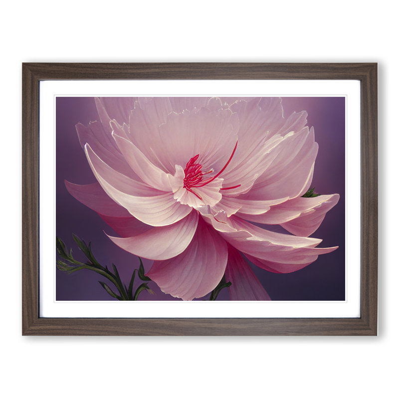 Creative Carnation Flower - Single Picture Frame Print, Walnut, 25cm H x 34cm W x 2cm D