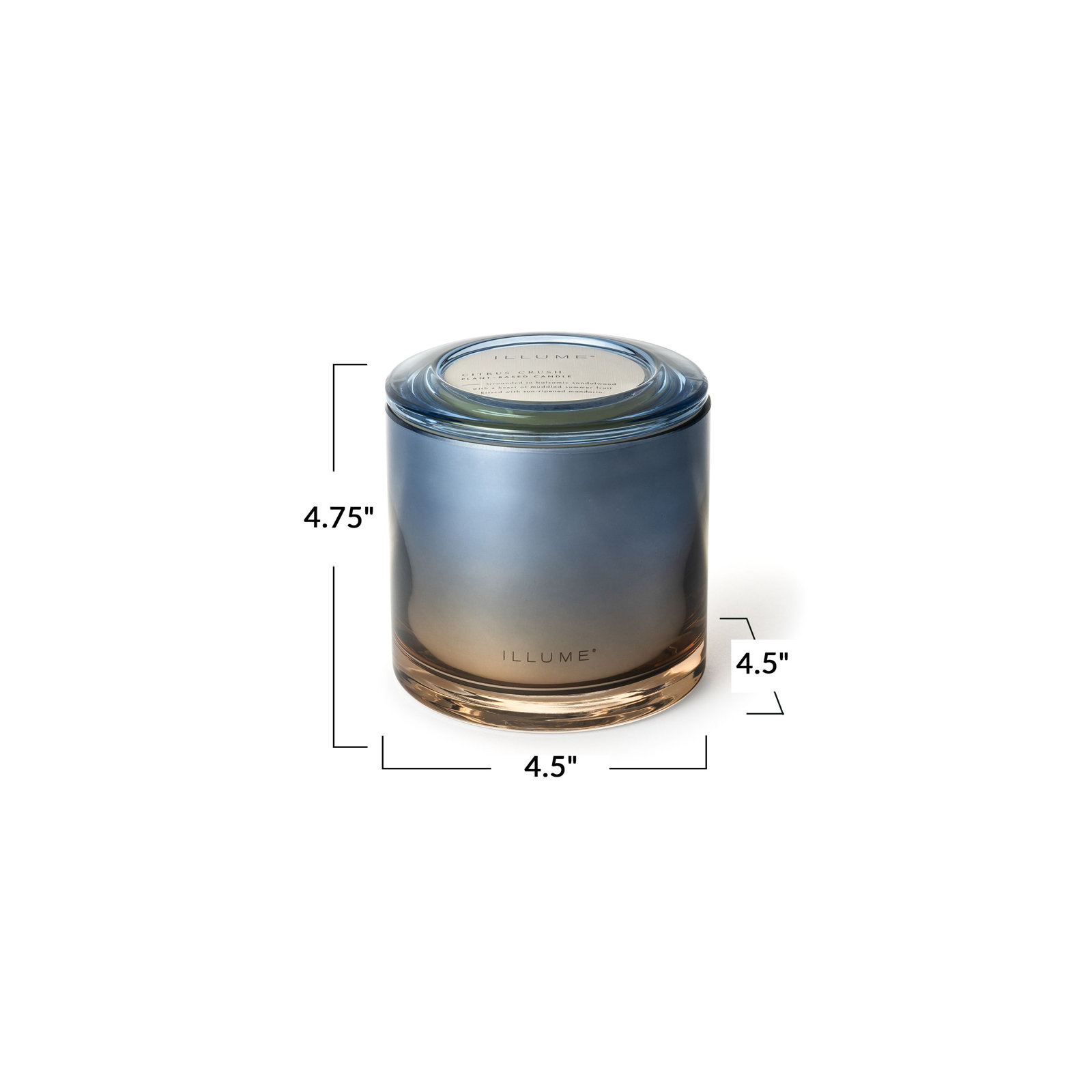 Imane Citrus Crush Scented Jar Candle, Statement Glass