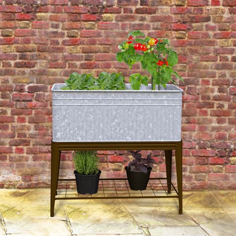 Albano Metal Elevated Planter