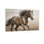 «Animals Courir», reproduction d'art sur toile-419104733