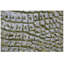 Animal Print Area Rug-70085325