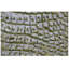 Hand Knotted Animal Print Area Rug-70085325