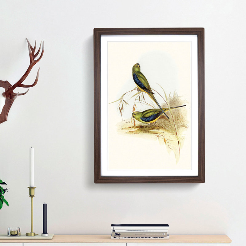 Blue Banded Grass Parakeets by Elizabeth Gould - Picture Frame Painting Print, 36cm H x 27cm W x 2cm D, Walnut Framed