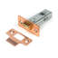 Tubular Mortice Latch-111909809